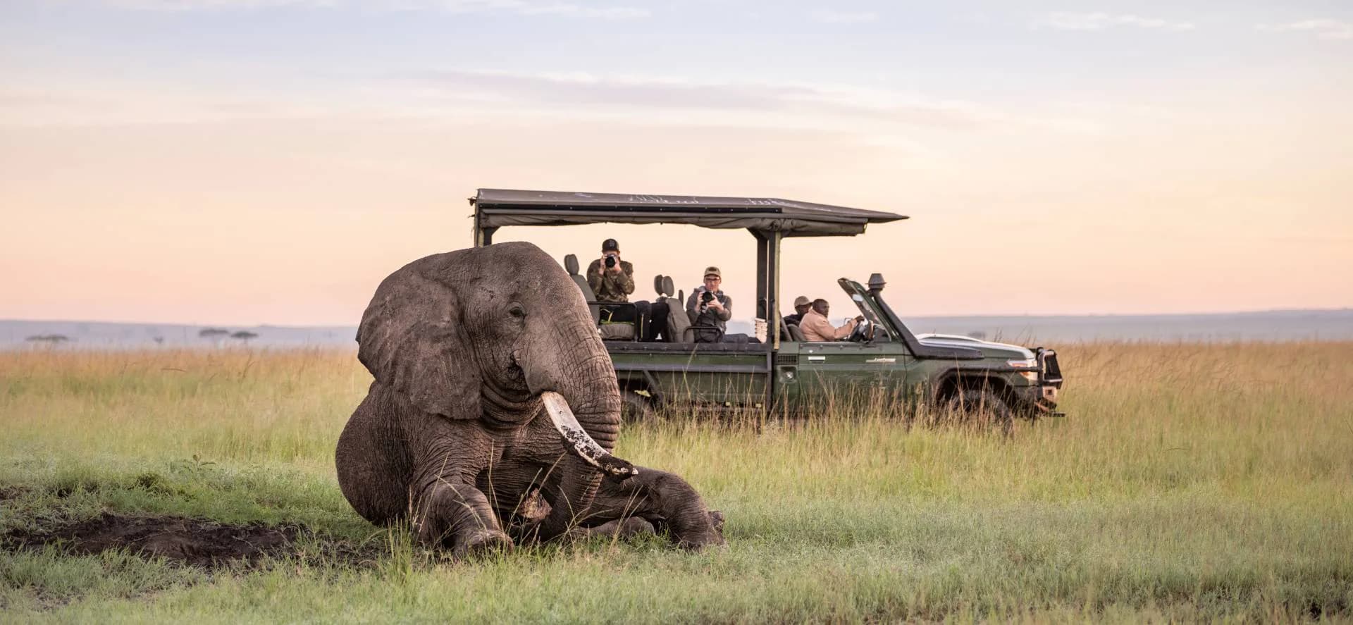 Kenya Drive, Discover & Swim