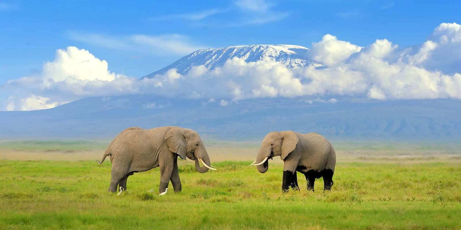 Amboseli