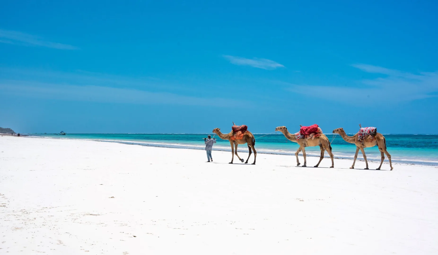 Diani Coast