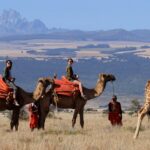 Camel Safaris