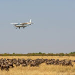 Scenic Flights