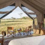 Camping Safaris