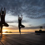 Wellness and Yoga Safaris