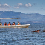 Boat Safaris