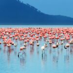 Lake Nakuru National Park