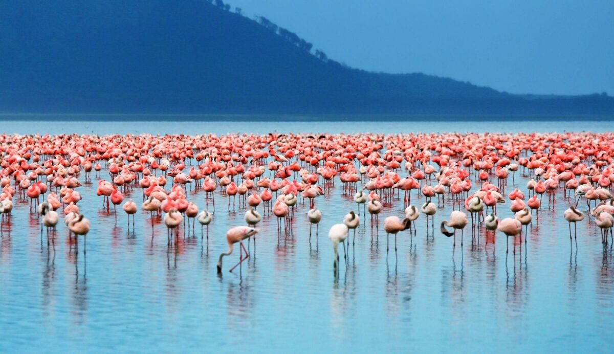 Lake Nakuru National Park