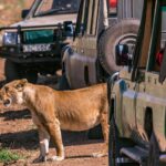 Wild Kenya Adventure: 5-Day Safari Experience