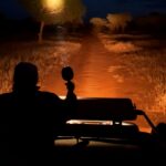 Night Game Drives